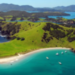 Exploring the Top COVID Travel Insurance Options in New Zealand